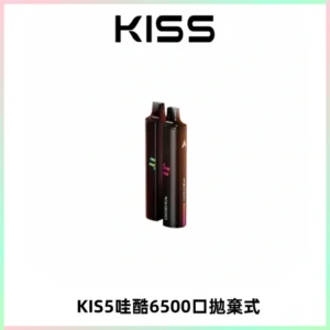 KIS5WAGOO哇酷6500口拋棄式 | 自由混搭雙口味 | 雙芯組合
